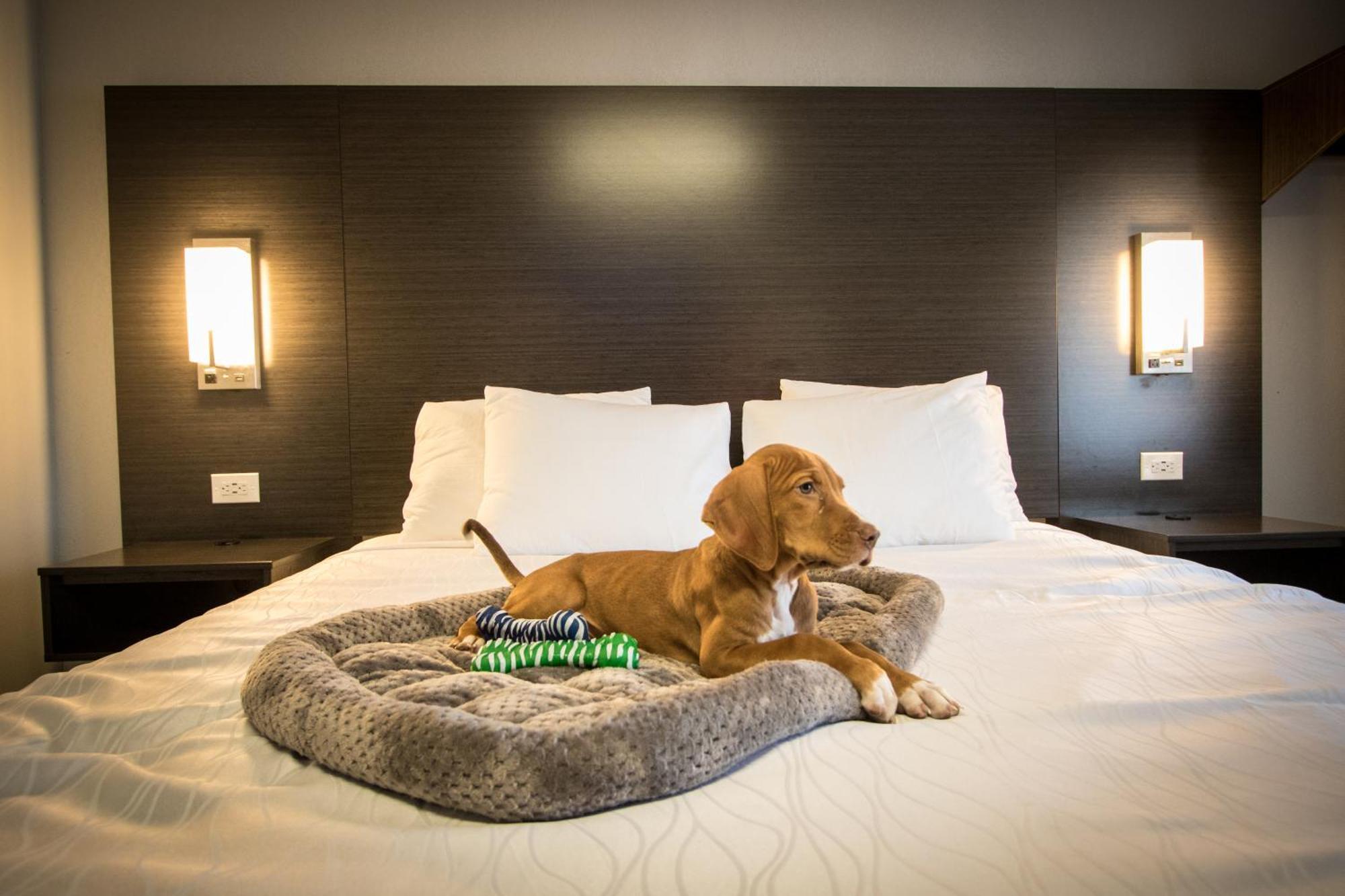 Envi Boutique Hotel Henderson Εξωτερικό φωτογραφία
